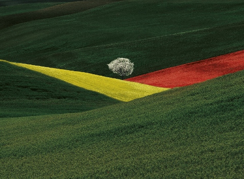 Franco Fontana & Quelli di Franco Fontana